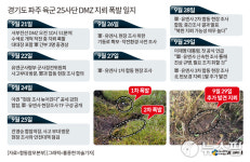 [1보] 北, DMZ 지뢰 폭발에 