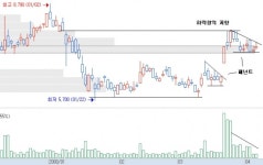 [기술적 특징주] 세원셀론텍, 이번에도?