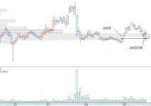 [기술적 특징주] DMS, 창을 지지로