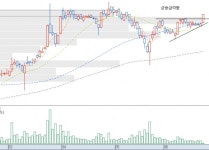 [기술적 특징주] 코미팜, 상승삼각형 저항 돌파