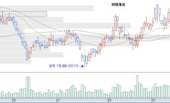 [증권사 차트관심주] SK텔레콤, 상승반전형 _ 대우證