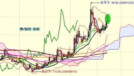 [슈어넷 마켓리더스]중국증시에 거는 한가닥 기대