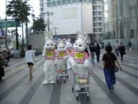 거대토끼 봐도 놀라지 마세요…산들애 이색 이벤트 화제
