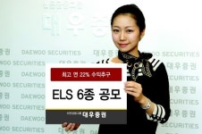 대우證, ELS 6종 공모