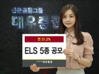 대우證, ELS 5종 공모