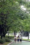 [포토]점심시간엔 산책