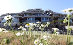 저 푸른 초원 위에 그림같은 집…한국판 비버리힐즈