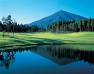 [골프]여름 휴가! 日골프투어 인기