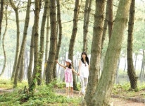 【여행】신안 증도, 텐트에 누우면 쏟아지는 별빛과 밀려드는 파도소리…