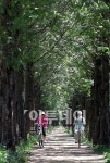 [포토]가을 바람이 느껴져요~