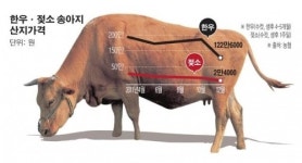 한우값 어떻길래 軍 장병 식단까지 바꾸나?