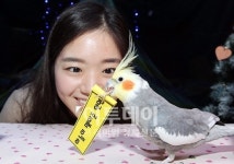 [포토]63씨월드에 점쟁이 새가 떳다!