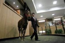 ［경마］경주마, ‘농촌에 희망을 쏘다’