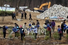 [포토]우면산 다시 푸르게