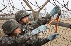 [포토]철책 철거되는 김포 한강변