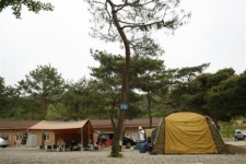 [여행]초록숲 병풍 삼아…자연속에서 하룻밤을