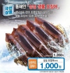 롯데슈퍼, 동해 생물 오징어 올 첫 판매