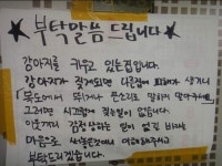 개 주인의 패기? 누리꾼들 적반하장 돋네