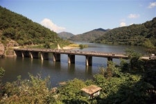 [여행] 구절초… 억새… 단풍… 그곳에 가면 가을이 있다