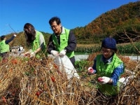광해관리공단, 자매결연 마을서 일손돕기 봉사