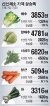 한파·폭설에 또다시 ‘金추·시金치’… 국제곡물값도 들썩 물가비상