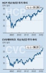 [리치 머니를 좇아라]다우·S&P500 최고가 경신… 배당주 투자전략은?