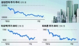 삼성전자 흔들리자  부품주도 ‘털썩’