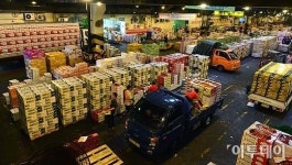 [포토]다가온 한가위ㆍㆍㆍ분주한 과일 경매장