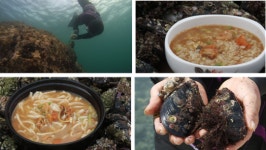 ‘한국인의 밥상’ 삼척 장호항 토종홍합 섭…구이ㆍ국ㆍ칼국수ㆍ죽까지