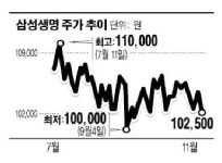 [공시돋보기]삼성생명, 삼성라이온즈 레포츠센터 매입 왜?