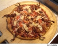 8가지 맛 꿈의 피자, 이번에는 무서운 야생의 피자 등장 헉