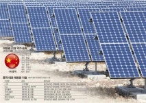[다시 볕 드는 태양광산업]정부 지원·저가공세 위력… 눈부신 ‘인해전술’