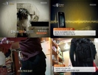 故 황정순, 자녀들 재산상속 싸움 속에 반려견 안락사 충격 동물병원 원장 상의했다