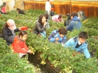 딸기잼 만드는 법 만드는 법도 초간단…수제라 맛도 최고