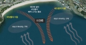 바닷가 물놀이 위험지역…어디를 가도 이 원리만 알면 OK