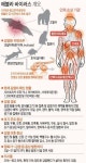에볼라 감염 경로, 감염자의 체액 접촉 시 전염…잠복기 최대 16일