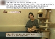 동물농장 배다해, 거짓말 논란의 진실은?… 유기묘 현보호자 “보류하고 있는 상황” 해명