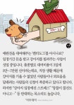 [카드뉴스 팡팡] 애견 대여, 어떻게 생각하십니까