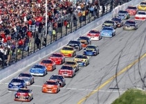 [오늘의 미국화제] 미국스톡카경주협회‘NASCAR’·강아지 사진 공유하는 ‘내셔널 퍼피데이’