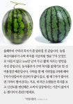 [카드뉴스 팡팡] 수박 ‘T’자 꼭지 없앤다