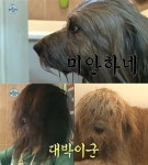 ‘나 혼자 산다’ 황석정, 애완견 대박이와 같은 헤어스타일 눈길…머리빗도 공유