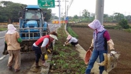 [함께 가꾸는 농촌운동 ③제주 서귀포 무릉마을] 무릉도원처럼 아름다운 마을 만들고 폐기물 팔아 수익도