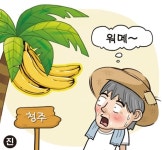 [온라인 와글와글] 청주 도로변에 열린 바나나…중부까지 아열대?