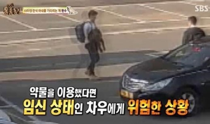 '동물농장', 만삭 차우 납치 범인 수배… 180cm·30대 남성 | 포토뉴스