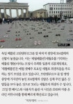 [카드뉴스] 베를린 광장서 304켤레 신발 놓고 세월호 추모