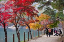 쌀쌀한 가을밤에는 커플 스파 펜션 여행!