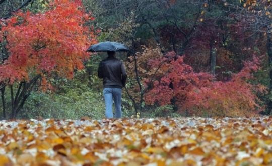 전국적으로 가끔 구름이 많겋이지만 강원 영동과 경상권, 제주도는 흐리며 비 소식 예상