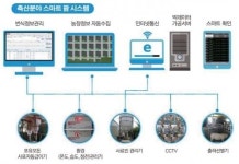 [농수산물 수출길 넓힌다] 농산물 품질 고급화·생산성 향상 일등공신 ‘ICT 스마트팜’