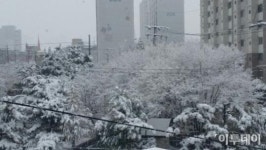 서울 첫눈 기준은?… 종로구 송월동에 눈 내려야 ‘첫눈’