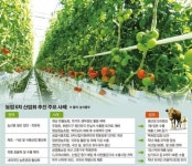 [농업이 미래다①] 생산∼가공∼유통서 관광까지… 자원의 부가가치 극대화